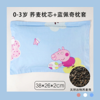 婴儿儿童枕头夏季透气1岁夏天苎麻荞麦皮3一岁半6个月以上4宝宝2 荞麦枕[蓝佩奇]0-3岁-吸汗透气