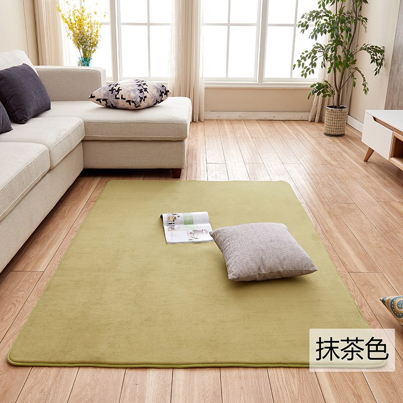 加厚家用简约现代茶几客厅地毯卧室房间满铺可爱长方形床边毯地垫