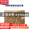 热带农林复合生态工程