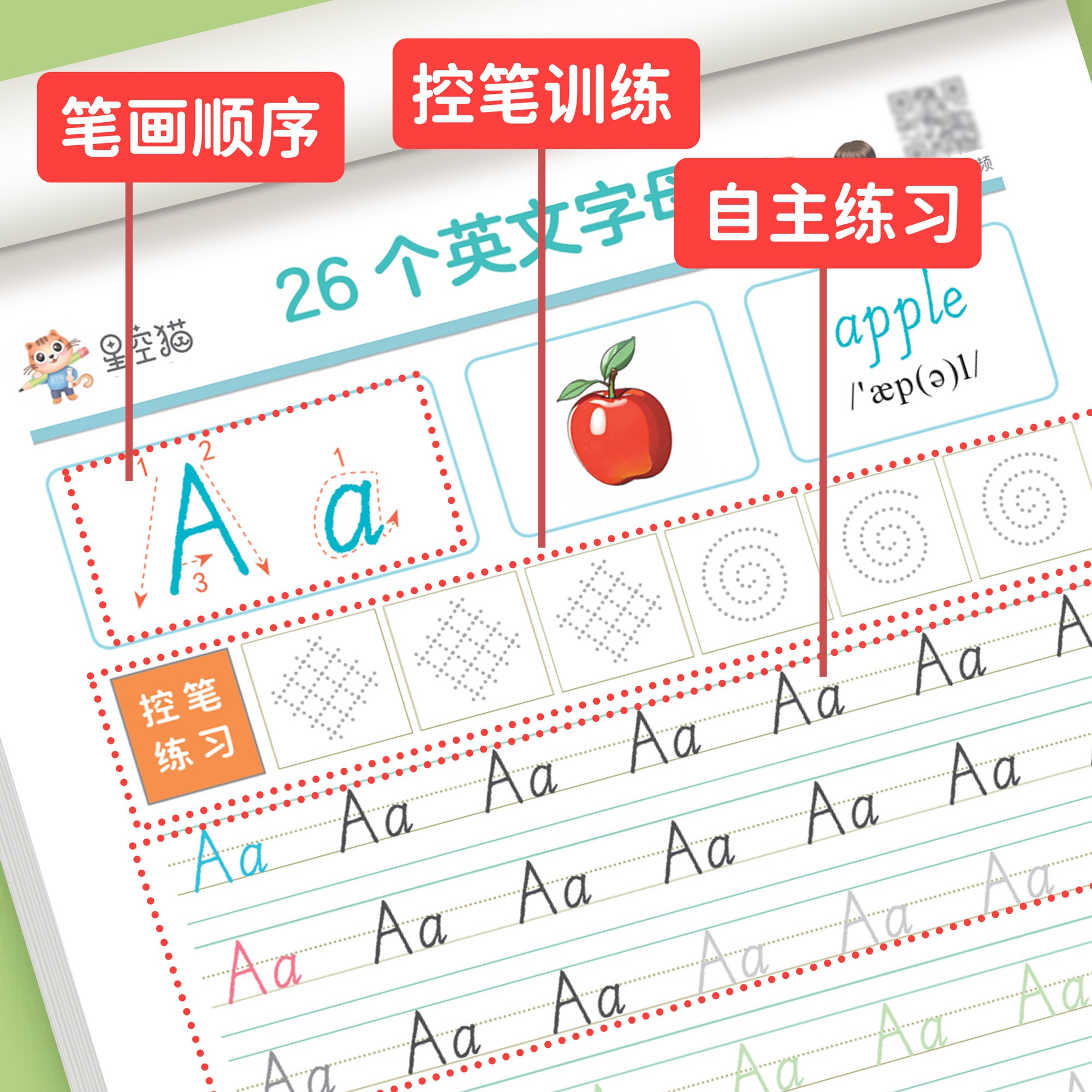 [国标体]26个英文字母.字帖 [正版]26个英文字母练字帖国标体 小学一二三四年级英语单词句子常用句型基础训练天天练小高清大图