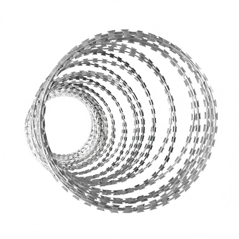 春昆阳岚 刺丝滚笼500mm 卷高清大图