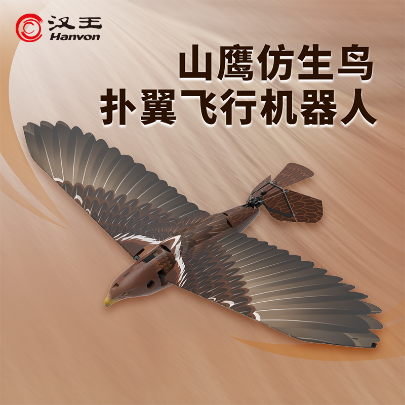 汉王(Hanvon) 仿翼白头鹰plus全套高清大图