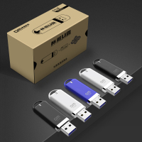 DM 512MB USB2.0 U盘 PD201标签优盘 招标投标小容量u盘 10个/盒