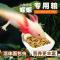 东方活体六角恐龙鱼霸王鱼小火龙淡水冷水鱼缸观赏鱼 六角的美食50ml/4盒