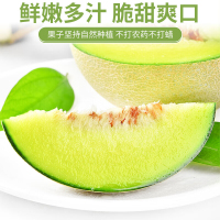 鲜知臻食 海南/山东网纹瓜4.5-5斤彩箱装