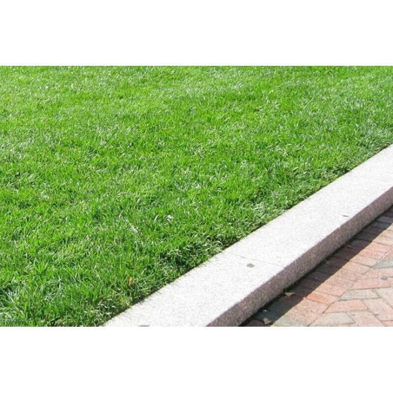 天堂草种子低矮型草坪籽耐践踏型小区公园庭院绿化草坪种子