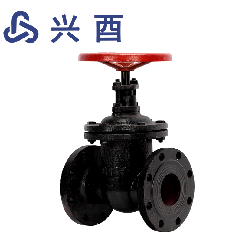 兴酉 铸铁暗杆闸阀Z45T-16 DN50 个高清大图