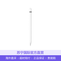 苹果APPLE Apple Pencil 平板电脑触控笔 白色其他 MK0C2ZA/A