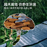 【预售】倍知优系列破壁灵芝孢子粉胶囊整箱装20盒起售