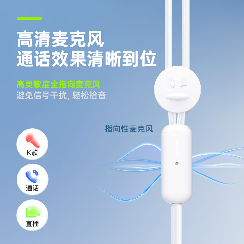 SONGX 有线耳机type-c入耳式耳机Hi-Res金标认证K歌游戏华为小米vivo苹果15手机ipad通用扁头