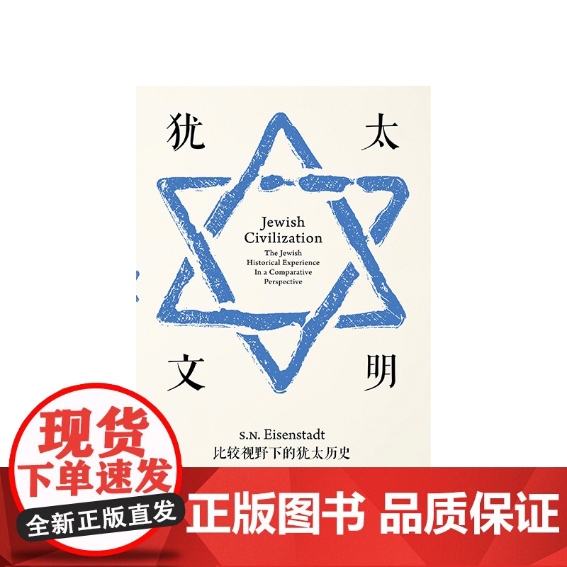 犹太文明 比较视野下的犹太历史 SN艾森斯塔特 著 一本书看清犹太历史内核 中信出版高清大图