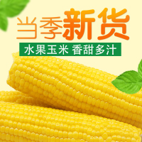 农得客新鲜水果玉米杂粮非转基因无添加200g*8根