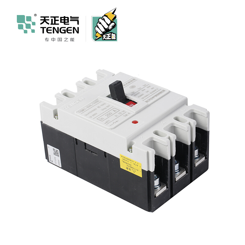 天正电气 TGM1-250 50KA 热磁式250A 3P 手动 固定式400VAC 01040076297塑壳断路器