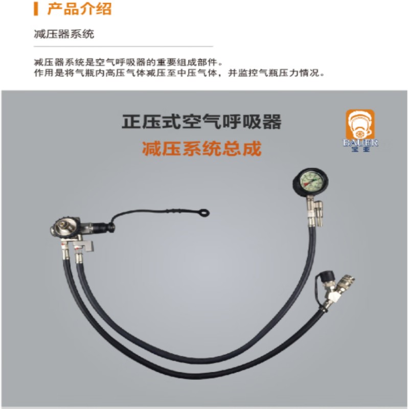 宝亚安全上海宝亚减压器系统 黑色高清大图