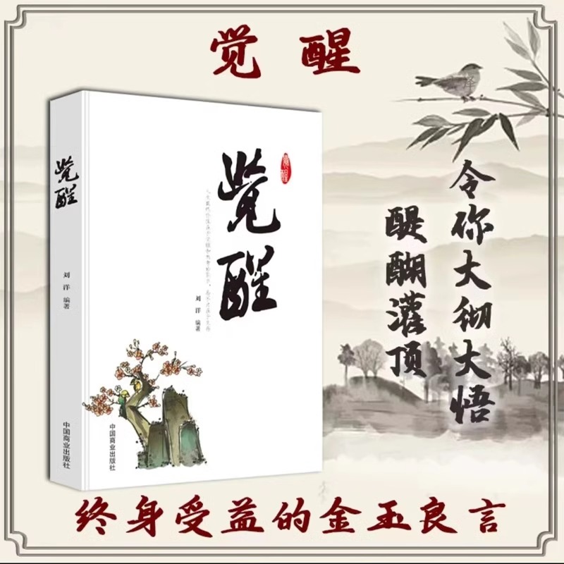 [正版]觉醒 敲破执迷不悟犹如醍醐灌顶令你大彻大悟改变认知突破舒适圈写给年轻人的开窍指南内观自己摆脱负能量书籍高清大图