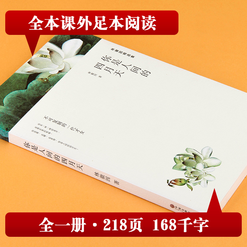 醉染图书林徽因精选集 你是人间的四月天9787519030919