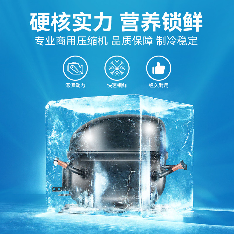 穗凌(SUILING) LG4-1100LW商用展示冰柜水果保鲜双门玻璃门陈列柜立式饮料风冷冷柜
