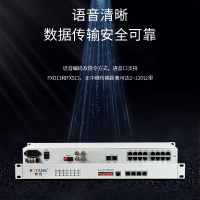 博扬 综合业务电话光端机 2路E1+16路电话+4路百兆物理隔离网 FC单纤40km 机架式 1对价
