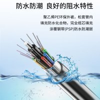 博扬 铠装6芯单模室外光缆 GYTS层绞式室外架空/管道光纤线 1000米 BY-GYTS-6B1.3-1KM