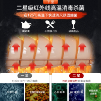 铭首(Minsow) ZTP-168 餐具厨房消毒柜 商用家用立式消毒柜 上室臭氧杀菌 下室二星级红外线高温消毒杀菌柜