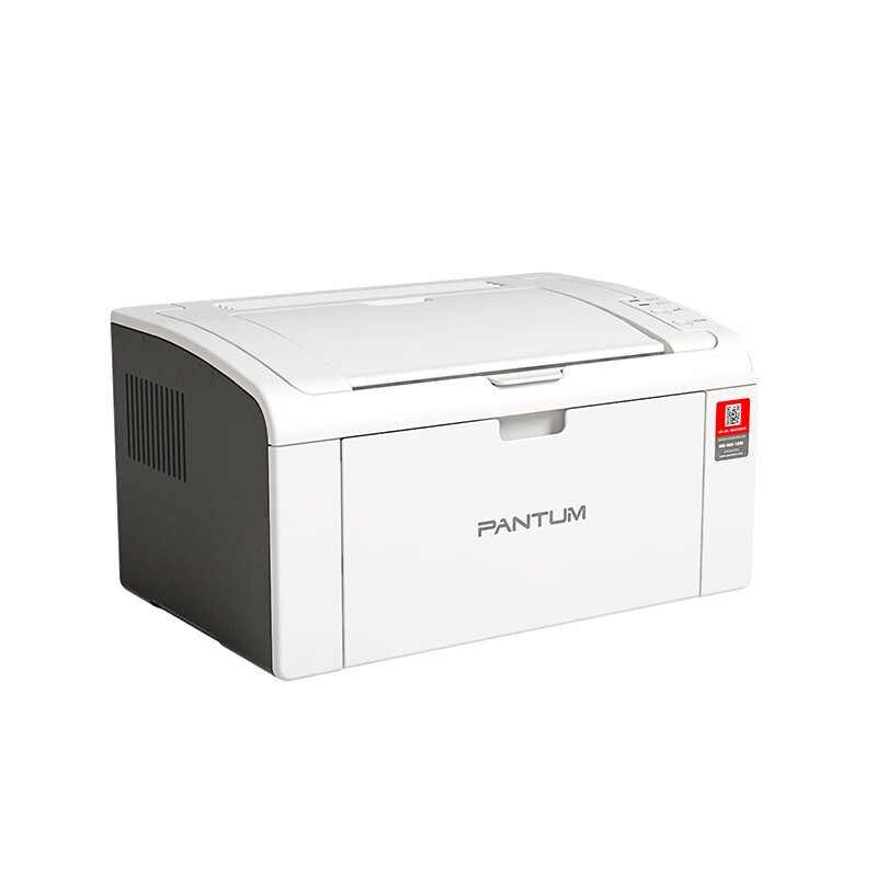 奔图(PANTUM)P2510黑白激光单功能打印机 A4机身小巧便携 USB连接打印 P2510标配打印机 标准版高清大图