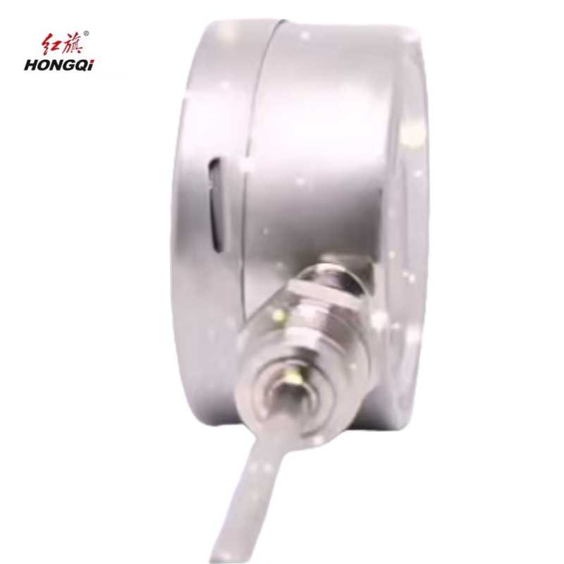 红旗 不锈钢耐震双金属温度计检测款WSSN-411 100℃ 个高清大图