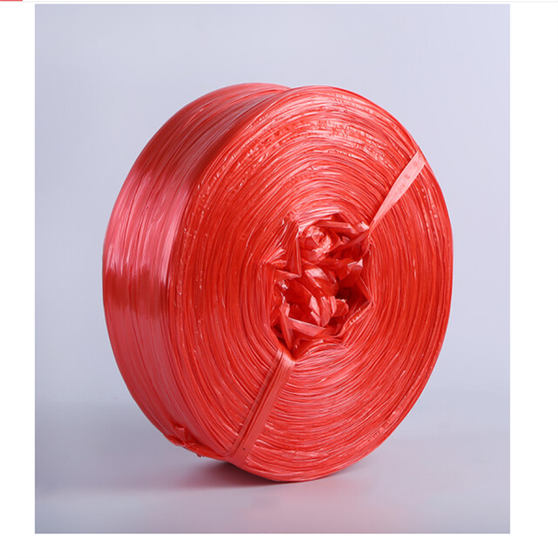 一痕沙 红色 塑料绳 塑料红绳/撕裂膜扎口绳/尼龙草封包绳 宽2厘米 每