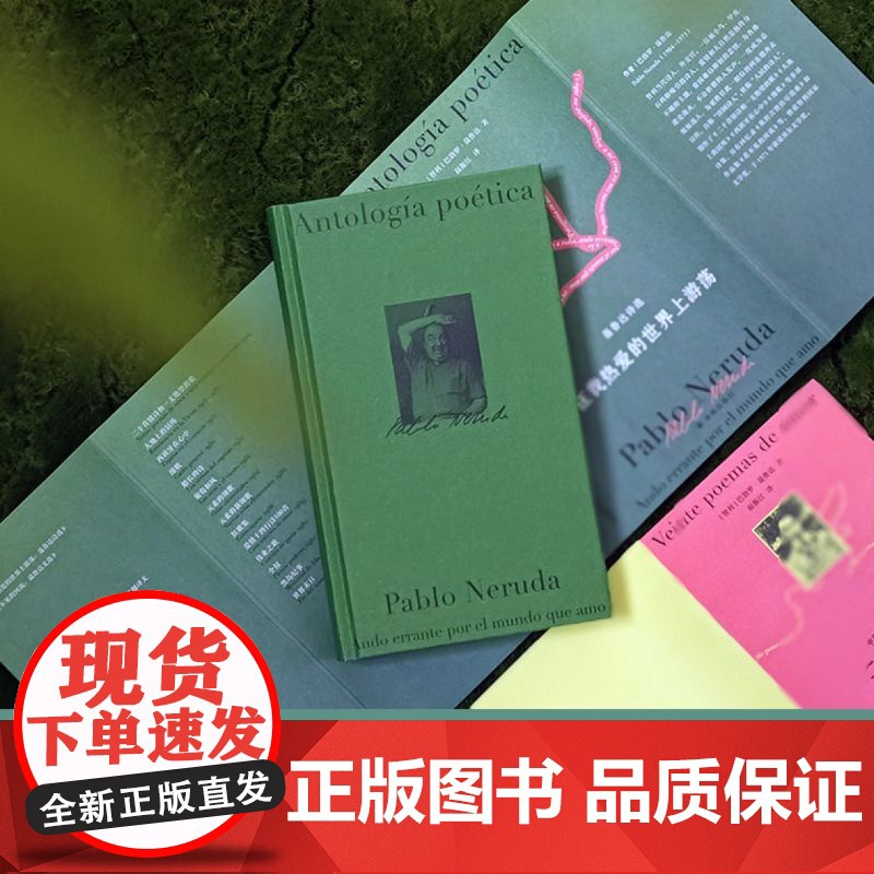 聂鲁达诗文集:在我热爱的世界上游荡 影响艾青莫言的诗作真正的西班牙语直译 作者一生的诗歌精粹 收录十四个集子 正版高清大图