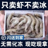 青岛大虾 整箱3.4-4斤 16-18厘米左右 顺丰速运 新鲜日期 冰鲜虾活新鲜大虾 基围虾水产冻虾