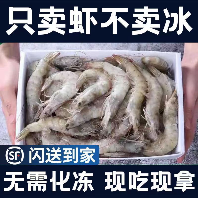 青岛大虾 整箱3.4-4斤 16-18厘米左右 顺丰速运 新鲜日期 冰鲜虾活新鲜大虾 基围虾水产冻虾