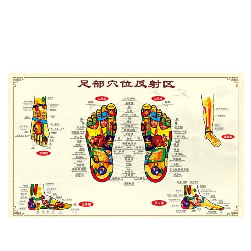 人体经络穴位图足疗按摩穴位图大挂图墙贴装饰脚底足底反射区家用