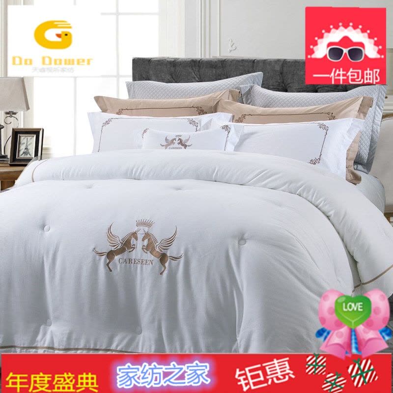 五星酒店全棉冬天被子纯棉冬被单人双人被芯春秋冬季8斤加厚保暖图片
