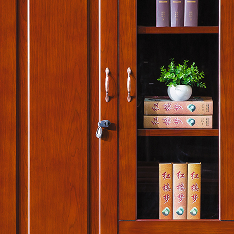 臻远ZY051429木质文件柜油漆贴木皮资料柜书柜 二门高清大图