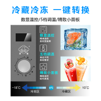 冰熊(bing xiong)BC/BD-236AB升商用大冰柜 卧式大冰库冷柜 冷藏冷冻转换展示柜 卧式双门顶开冰柜