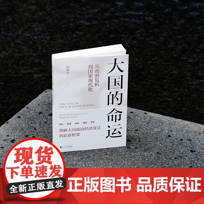 大国的命运 从政治危机到国家现代化 包刚升 著 理解大国政治经济变迁的崭新框架 政治高清大图