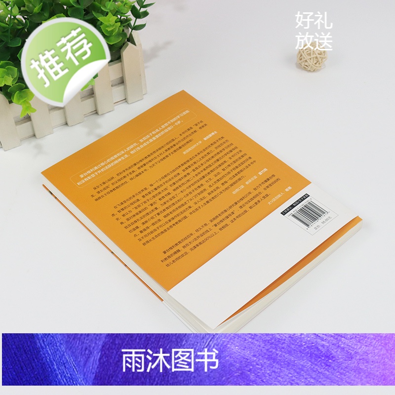 0~6岁敏感期影响孩子的一生:跟吴晓辉学蒙台梭利教育法 20年蒙台梭利教学倾囊相授 早期教育法家庭教育蒙氏教育育儿书籍畅高清大图