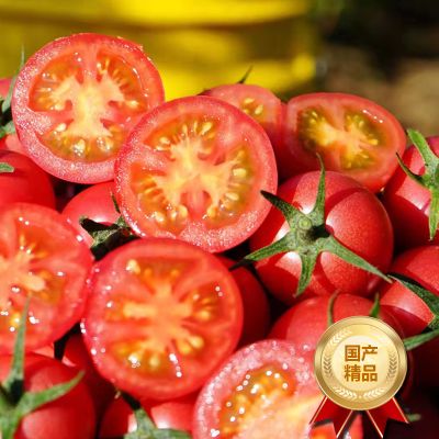 【熊猫鸟】新鲜千禧小番茄 净重2.8斤 现摘番茄水果自然熟孕妇蔬菜西红柿