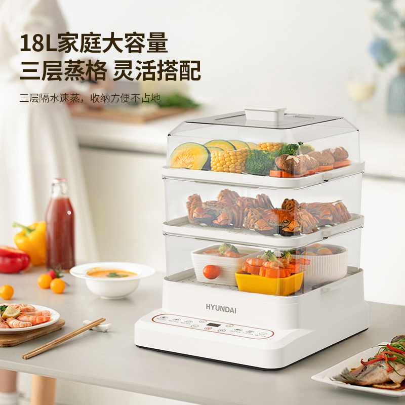 HYUNDAI 韩国现代 多功能电蒸锅XX-DZG08高清大图