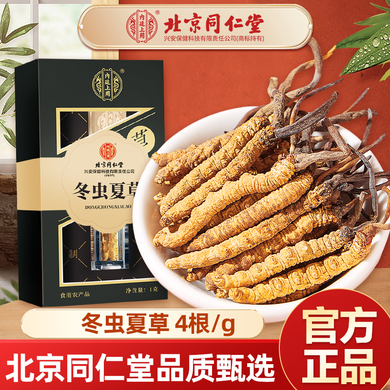 [1盒装]北京同仁堂冬虫夏草滋补干货1g/盒非鲜虫草正品头期虫草干货年货送礼滋补盒装