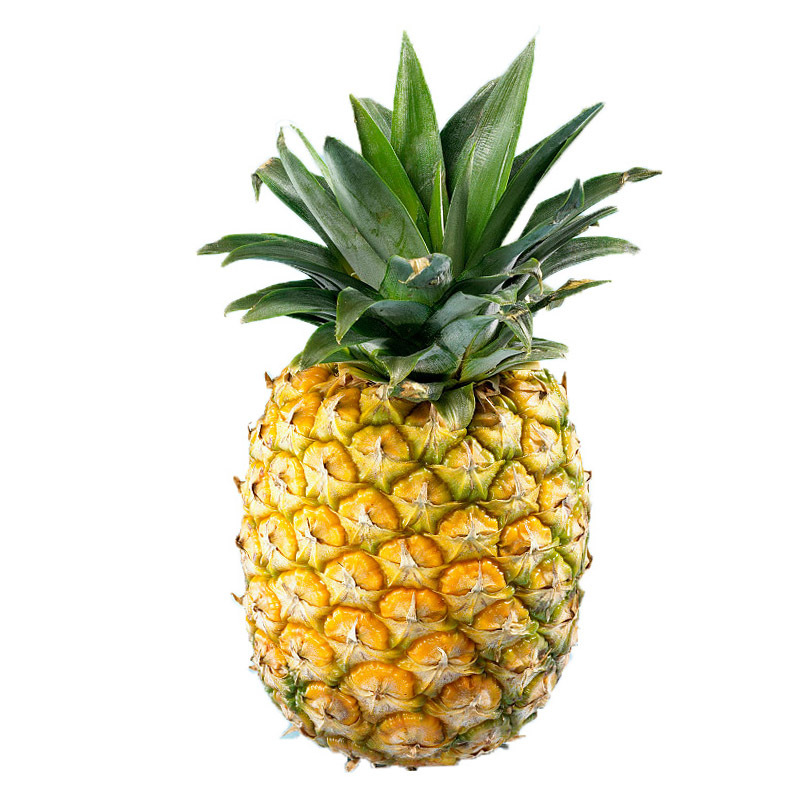 10斤云南金钻凤梨手撕大菠萝新鲜水果
