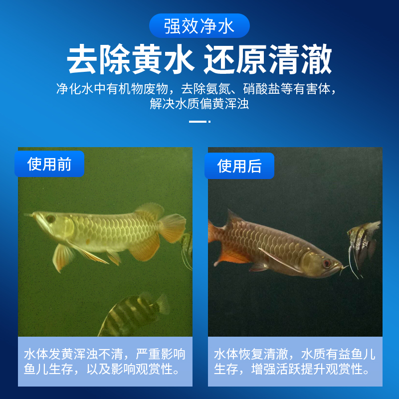 鱼缸生化过滤棉高密度净水加厚水族箱过滤材料器活性炭超黑海绵高清大图