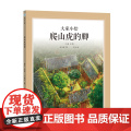 大家小绘系列：爬山虎的脚