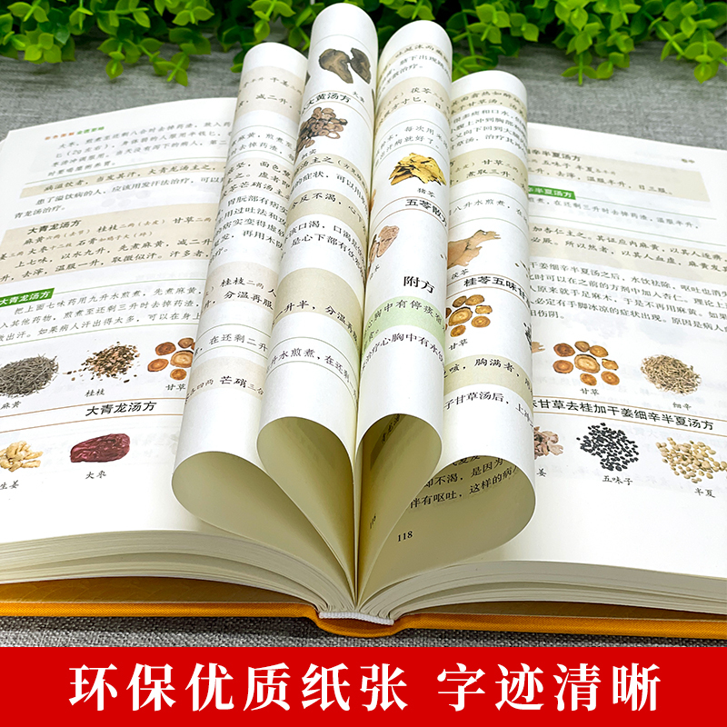 [正版] 金匮要略 原版全译白话文 中医四大名著 家庭保健常见病诊断与用药中医基础理论知识 中草药材抓配方剂药材功效民