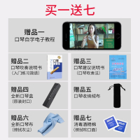 天鹅(Tian E)口琴儿童初学者成人高级演奏24孔复音c调学生自学入门男女通吹奏乐器其他1