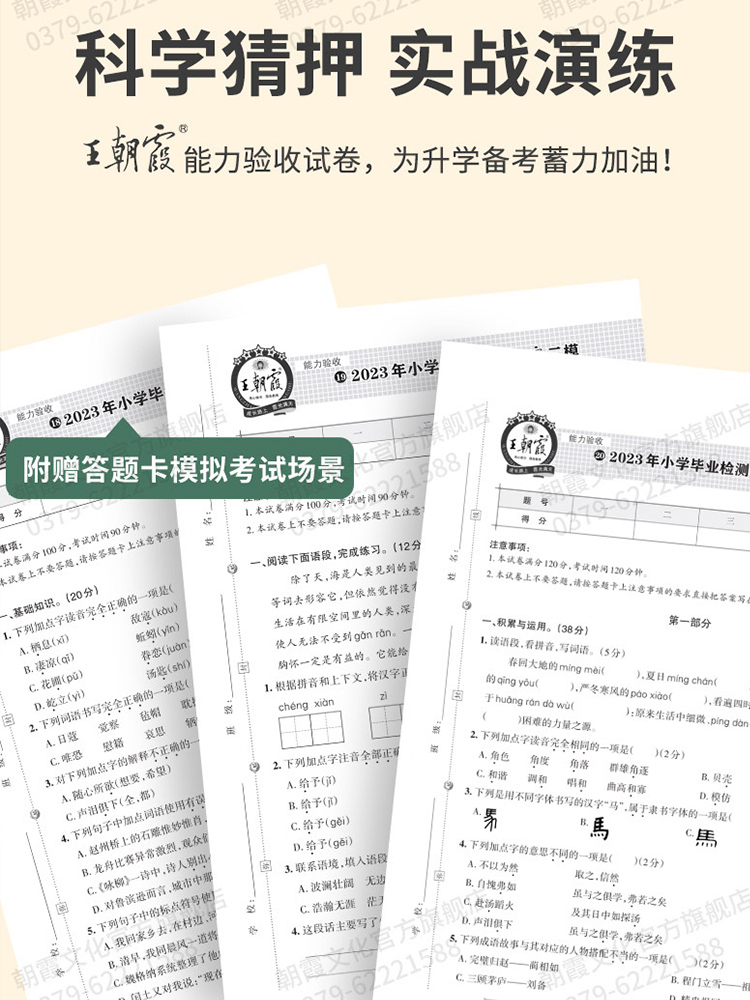 [醉染正版]2023版王朝霞小升初初中重点学校考前突破密卷语文数学英语人教版全国通用语数英分类集训专项训练押题复习测试卷高清大图
