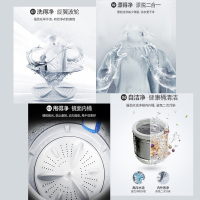 [苏宁优品]申花(SHENHUA)7.5kg全自动洗衣机波轮家用 蓝光抑菌 XQB75-2010(宝石灰&黑色盖板)