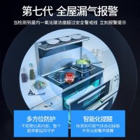 索太(SOTAI)S8集成灶一体灶家用大吸力烟机灶具消毒柜一体节能环保灶侧吸下排厨房消毒柜烟机 液化气