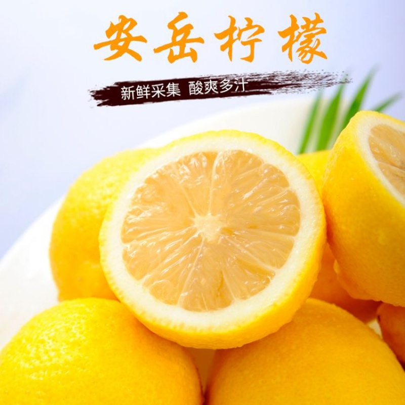 【5斤装】新鲜水果柠檬新鲜泡水四川安岳柠檬一级果整箱批发甘鲜生
