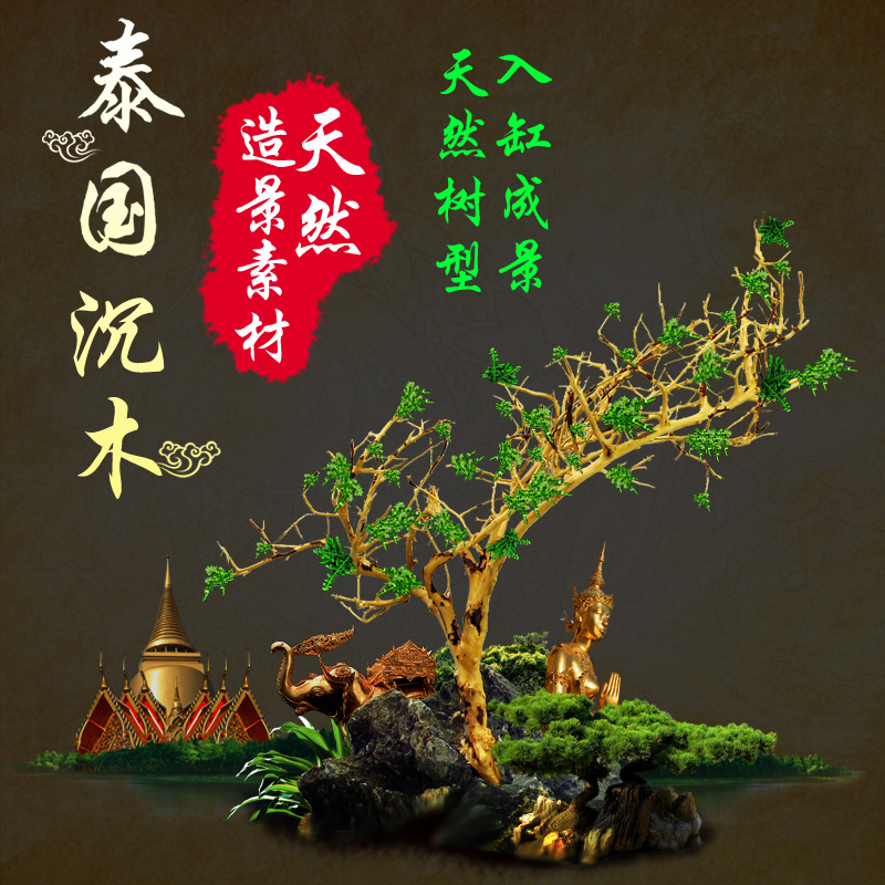 泰国沉木 树枝沉木 树形流木 水缸 莫丝树 鱼缸造景树根杜鹃根高清大图