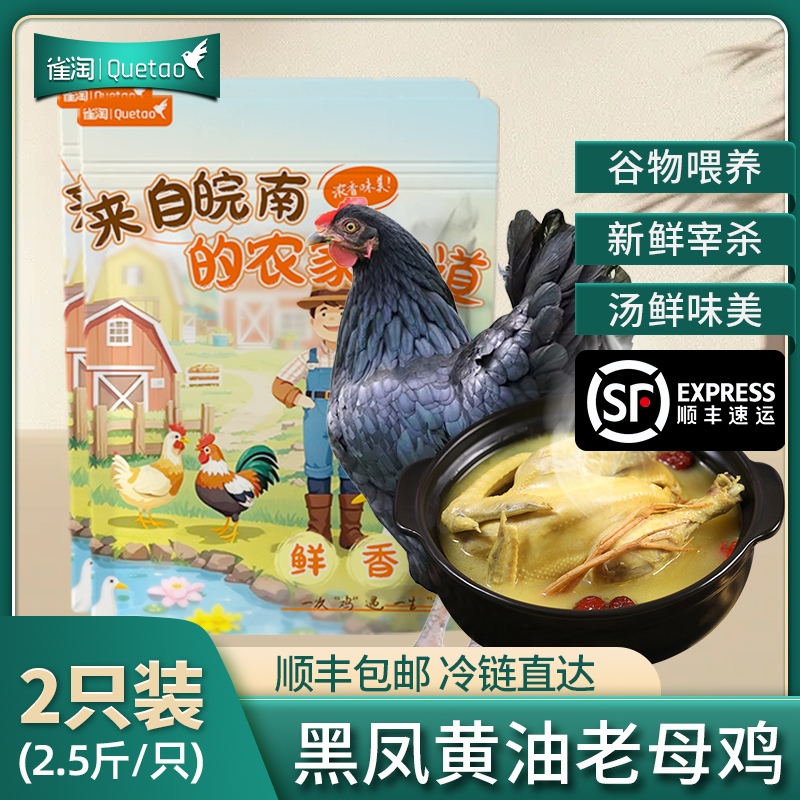【苏鲜生推荐】雀淘 皖南黑凤黄油老母鸡2.6-2.9斤/只 2只装 新鲜现杀冷冻净膛竹林慢养走地鸡